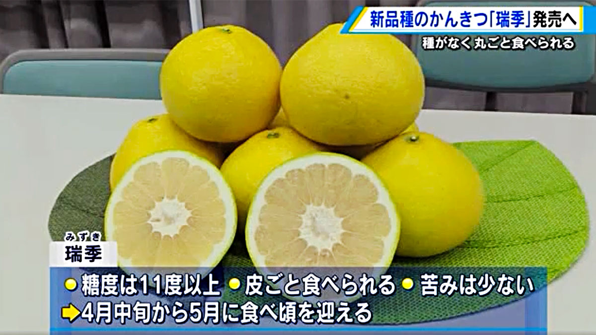 Mizuki has a sugar content of 11 degrees or higher, can be eaten with the skin, has little bitterness, and is best eaten from mid-April to May.