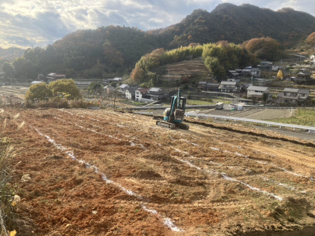 東吉名圃場