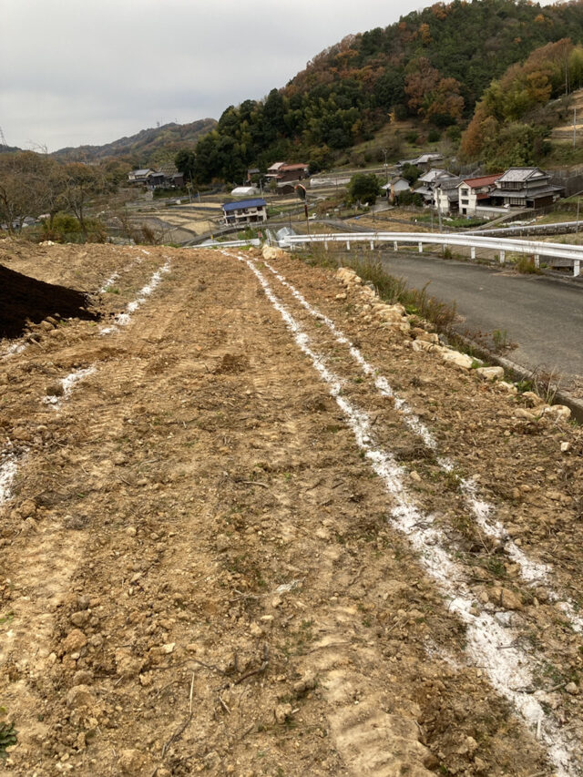 東吉名圃場