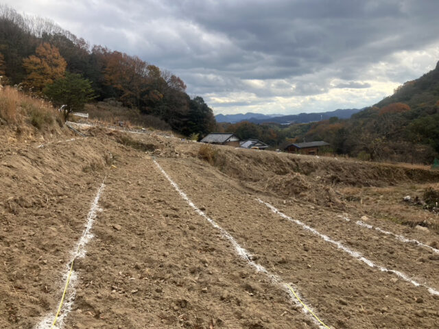 奥吉名圃場