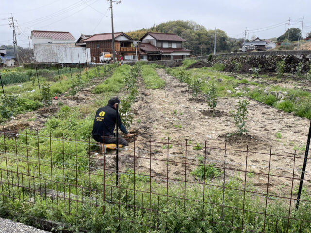 風早圃場