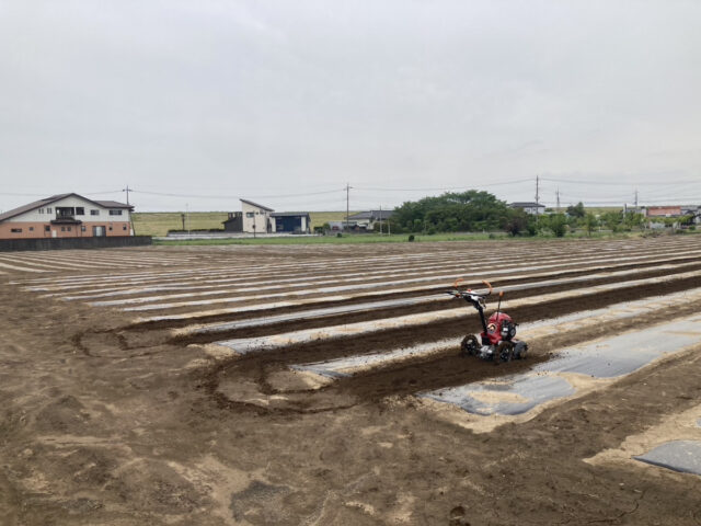 塚崎圃場