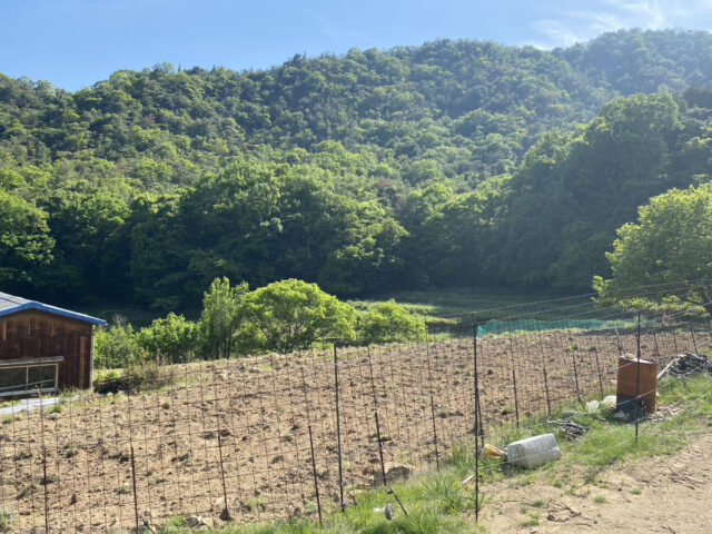 奥吉名圃場