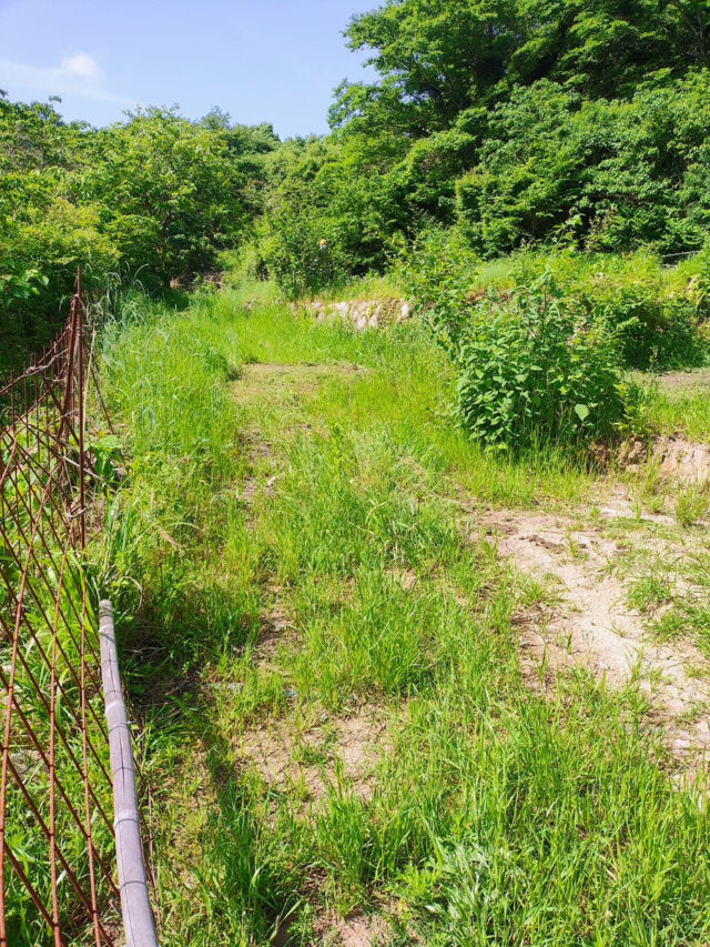 江田島圃場