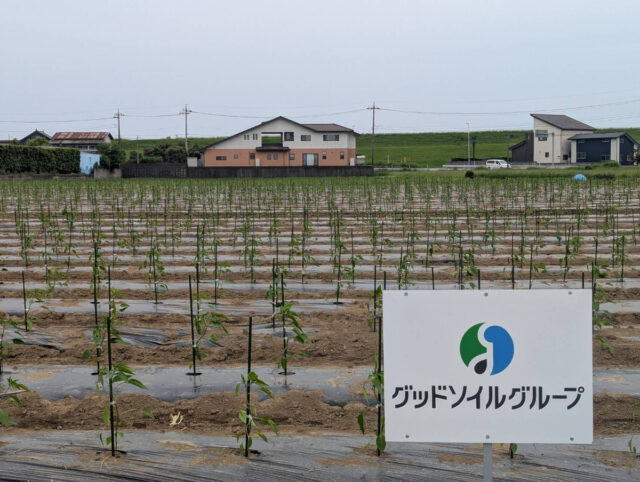 塚崎圃場