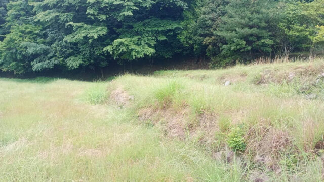 吉名圃場