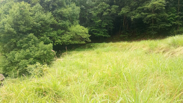 奥吉名圃場