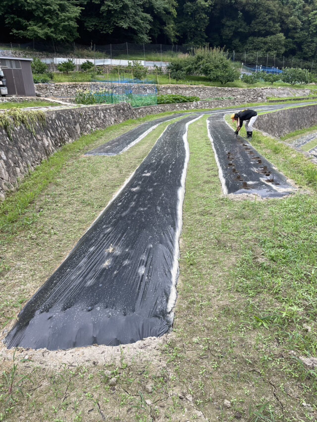 奥吉名圃場