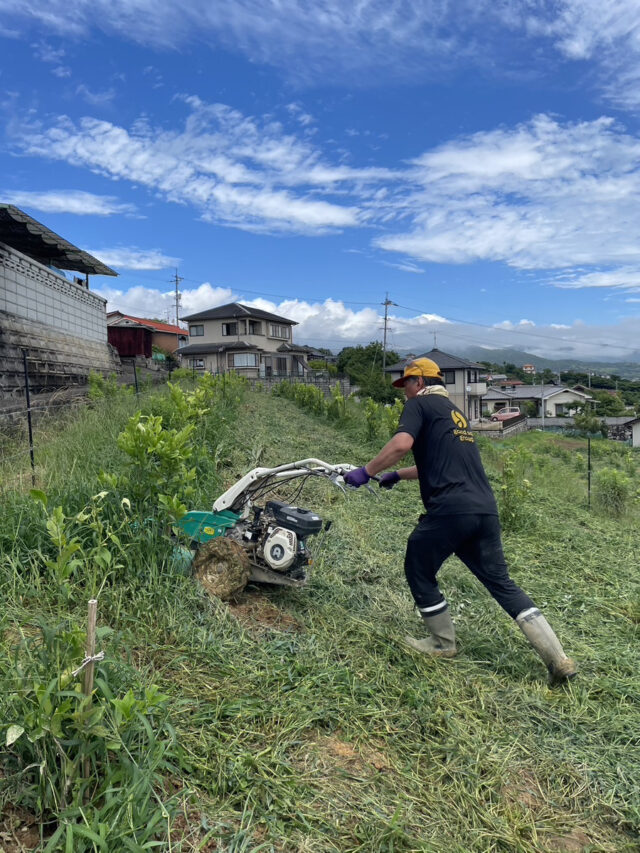 小松原圃場