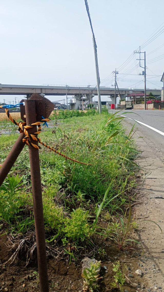 塚崎圃場