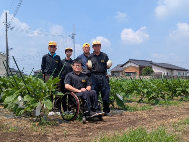 茨城圃場
