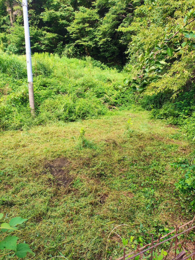 江田島圃場