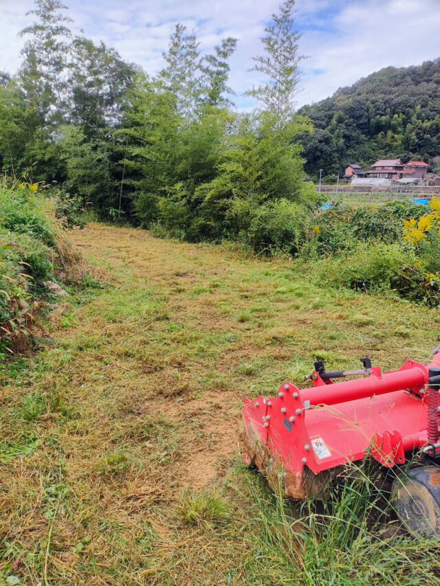 東吉名圃場