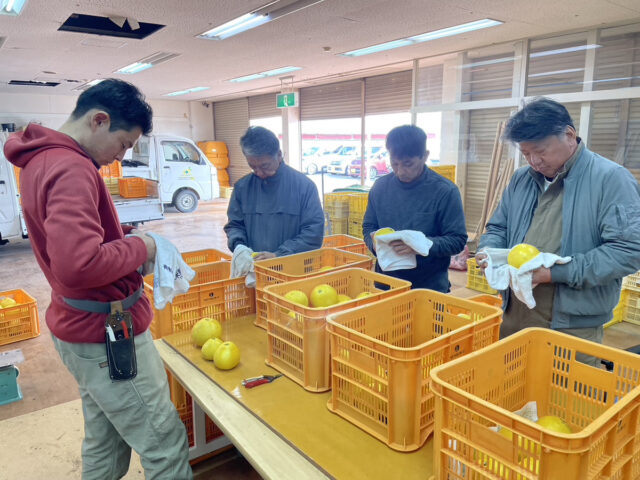 広島市中央卸売市場に納品