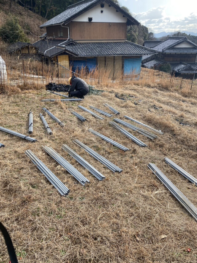 奥吉名唐辛子圃場