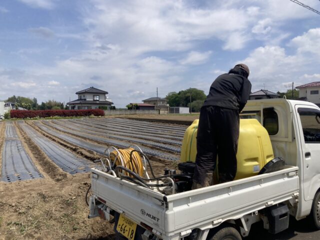 五霞第10圃場・第11圃場・第12圃場・第13圃場