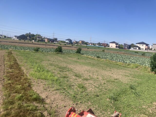 境町第20圃場・第21圃場・第22圃場・第26圃場