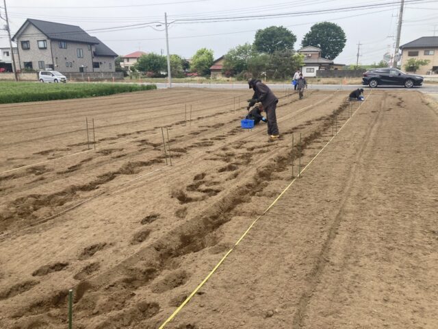 境町第1圃場・第4圃場・第5圃場・第27圃場