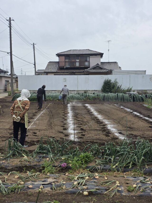 境第25圃場