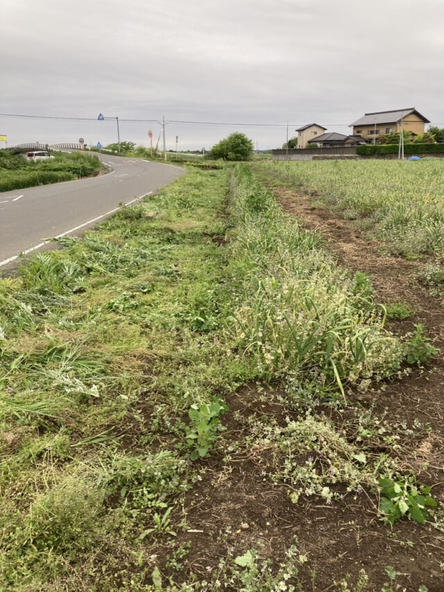 境第1圃場・第15圃場