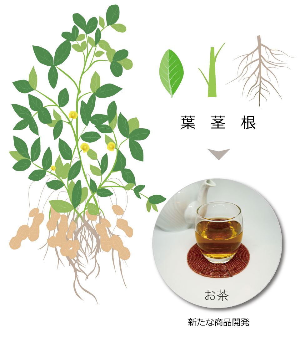 葉 茎 根 → お茶 | 新たな商品開発
