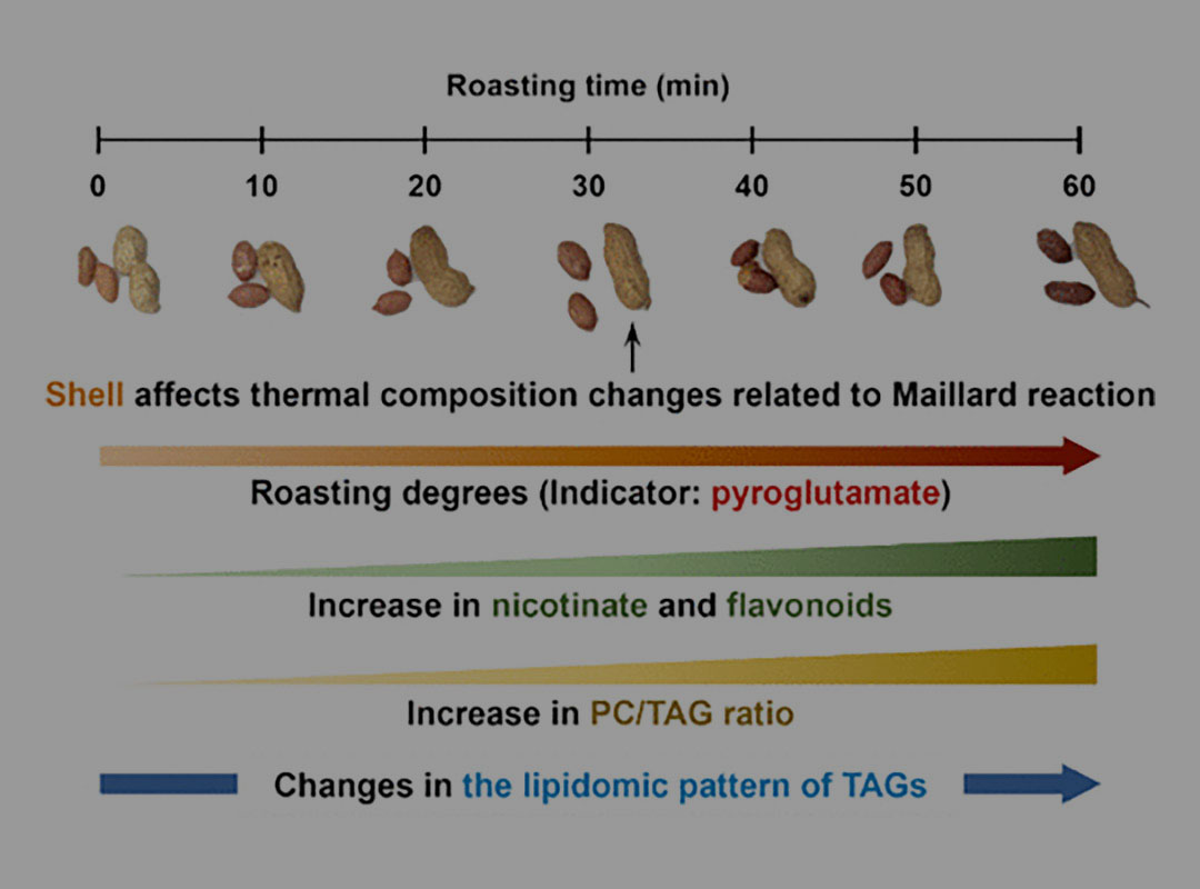 Comparison of peanut compounds during roasting and the effect of peanut shells.