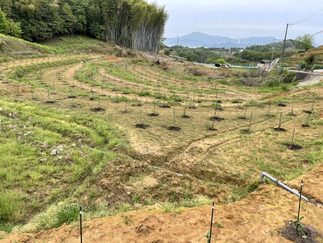 江田島農場