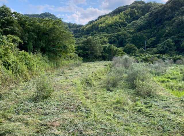 江田島農場の全貌