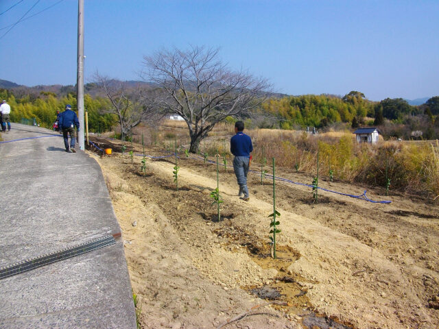 風早上部地区開墾作業