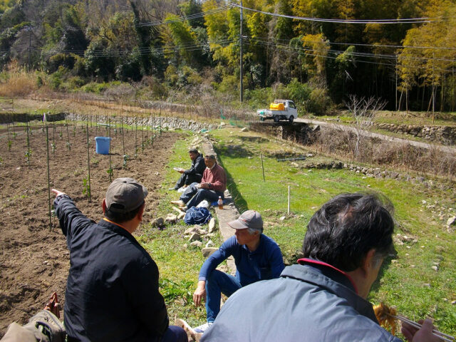 江田島農場にてレモン植樹準備