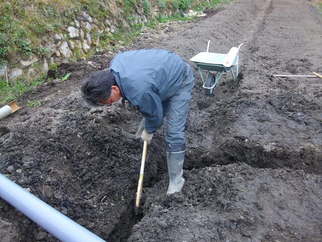 江田島農場でのレモン植樹