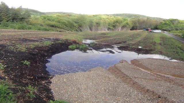 風早圃場：水溜まりの排水・草刈り・抜根