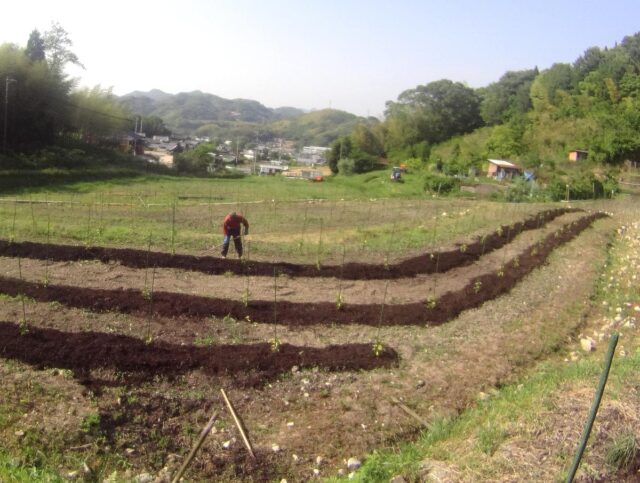 江田島圃場