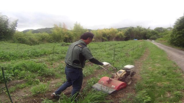 吉川圃場：草刈り