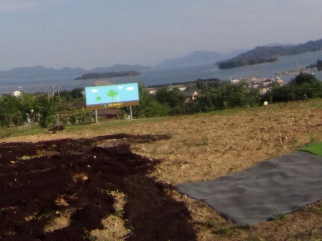 江田島圃場