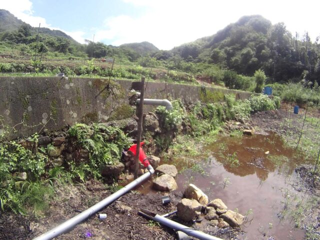 江田島圃場