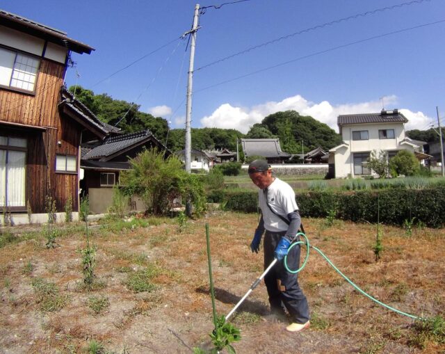 風早圃場