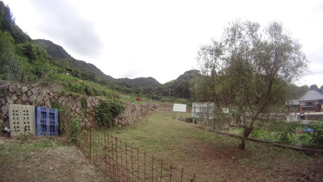 江田島圃場