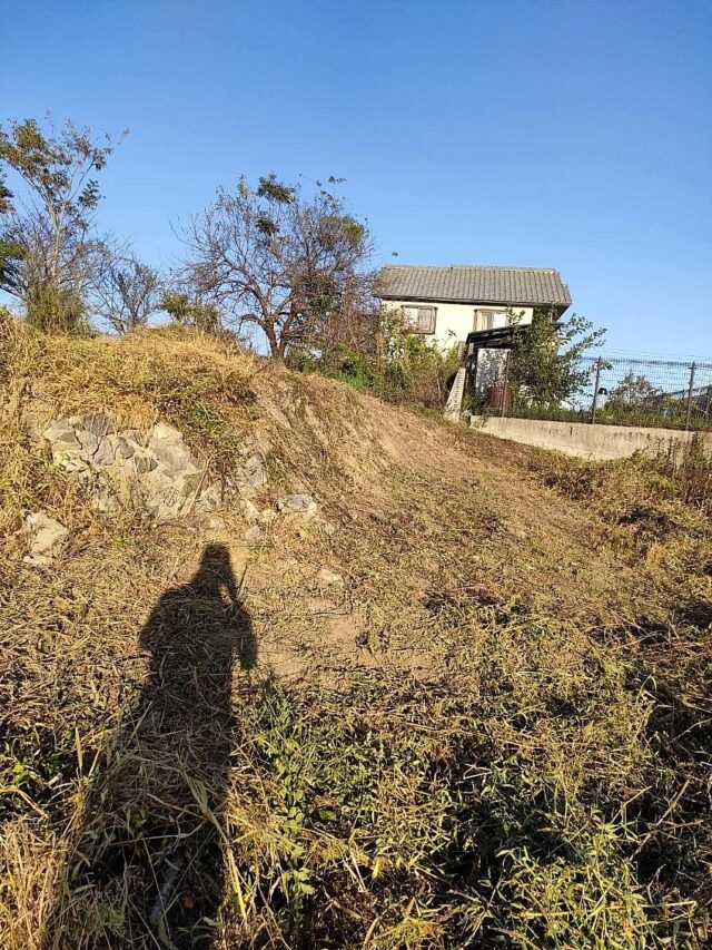 風早圃場