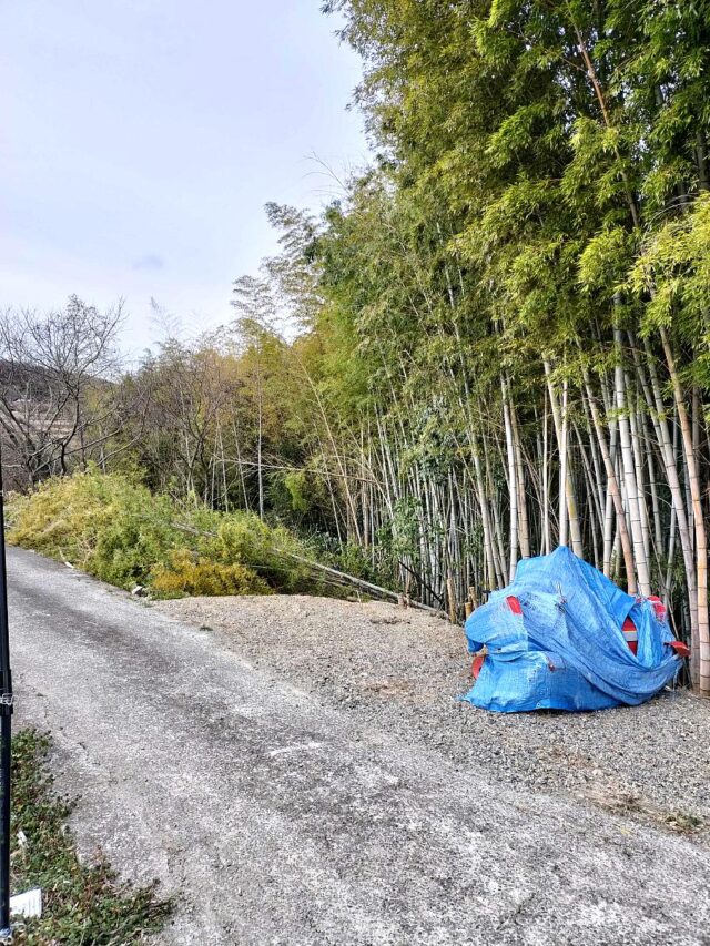 風早圃場