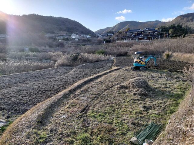 赤崎圃場