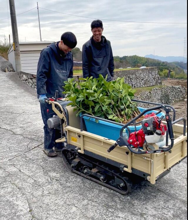 風早圃場