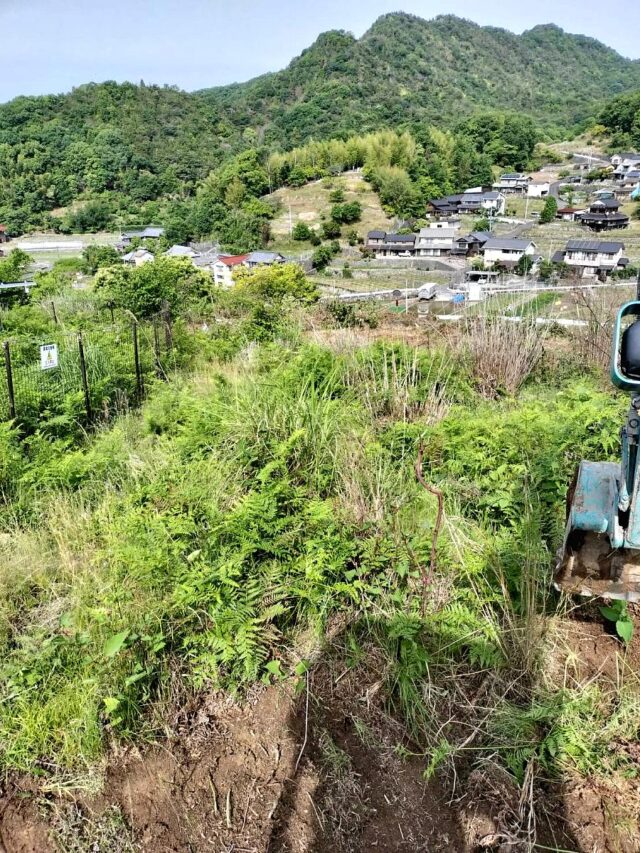 赤崎圃場