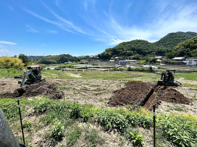 風早圃場