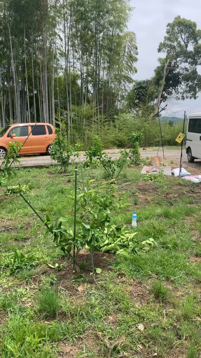 木谷圃場