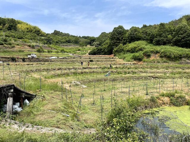 木谷圃場