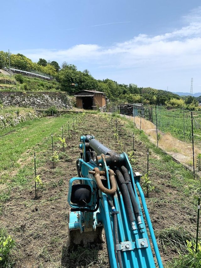 江田島農場