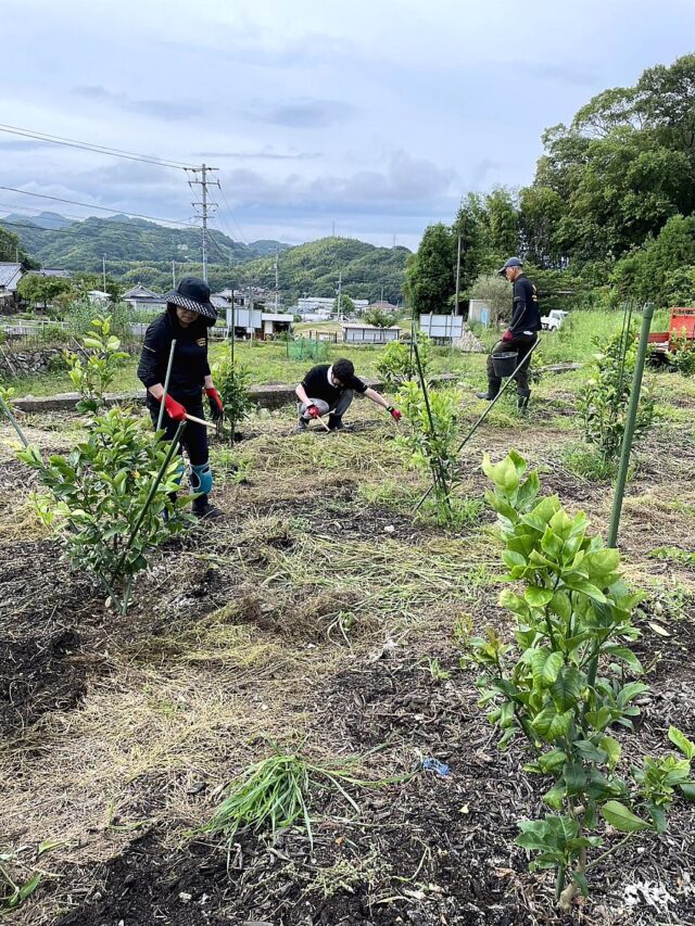 風早圃場