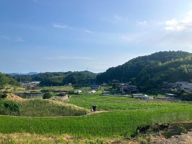 風早圃場