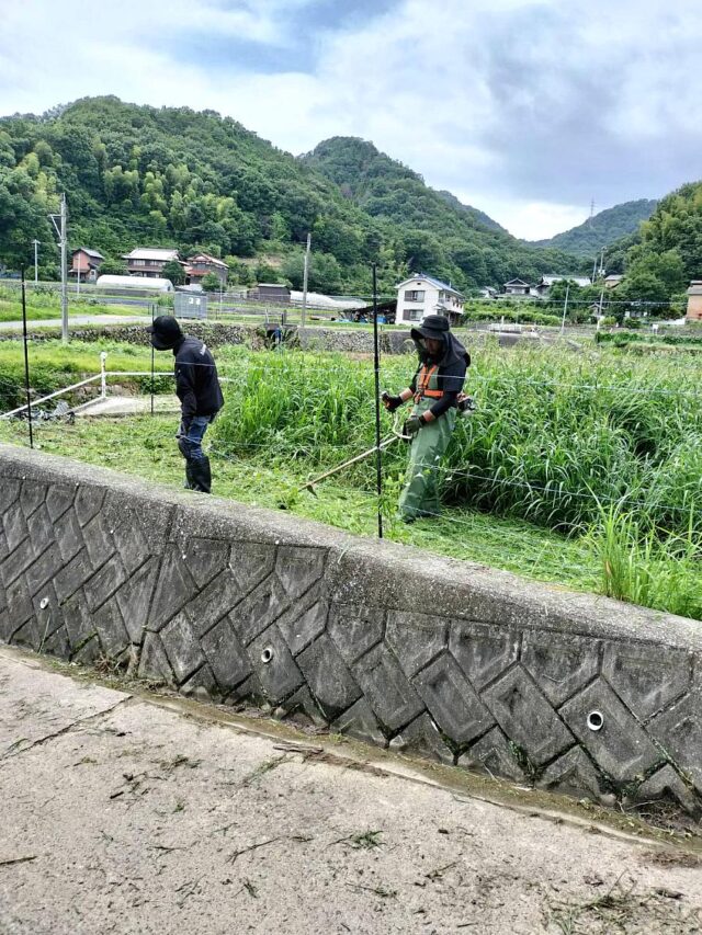 風早圃場